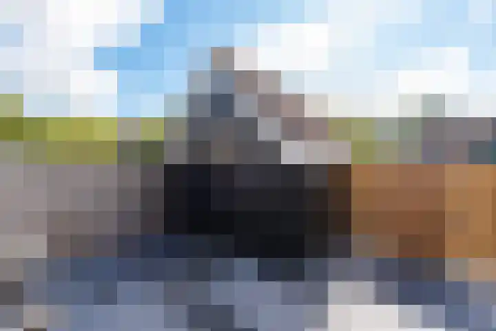 Spreeuwenlaan 47 Schagen thumbnail 26