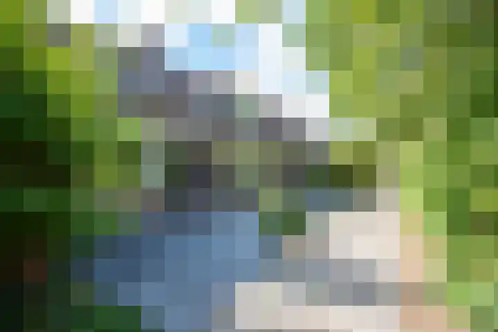 Spreeuwenlaan 47 Schagen thumbnail 29