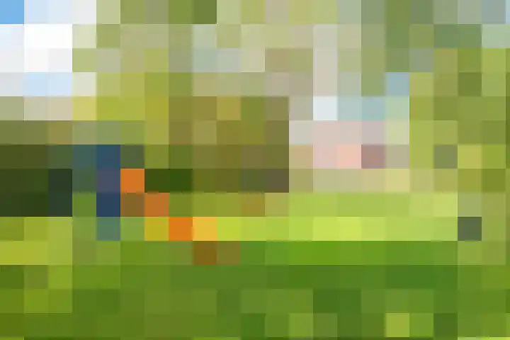 Spreeuwenlaan 47 Schagen thumbnail 30