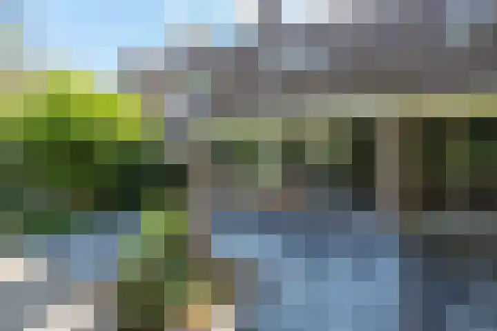 Spreeuwenlaan 47 Schagen thumbnail 4