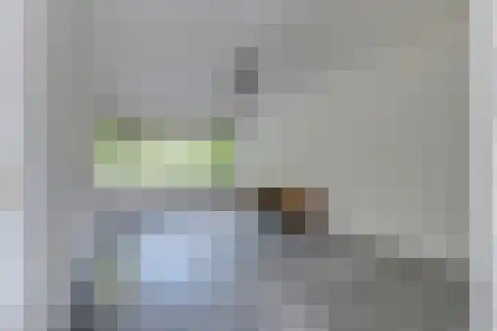 Spreeuwenlaan 47 Schagen thumbnail 6