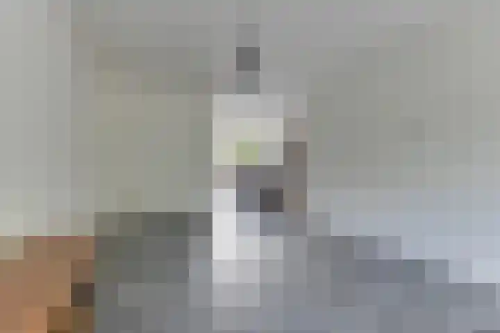 Spreeuwenlaan 47 Schagen thumbnail 7