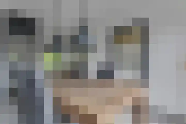 Spreeuwenlaan 47 Schagen thumbnail 9