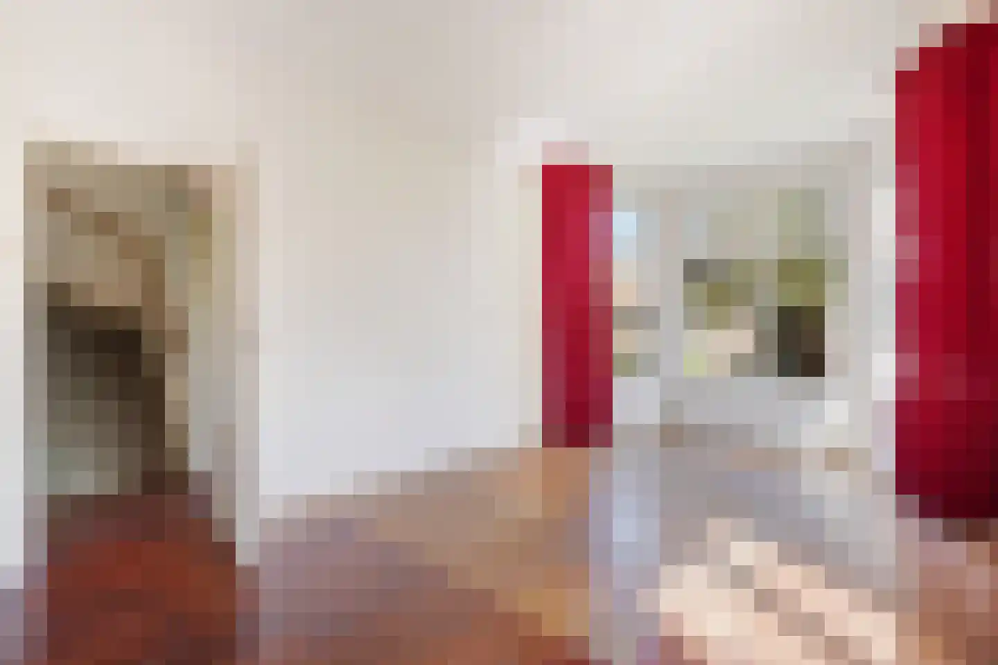 Spreeuwenlaan 6 Den Haag thumbnail 15