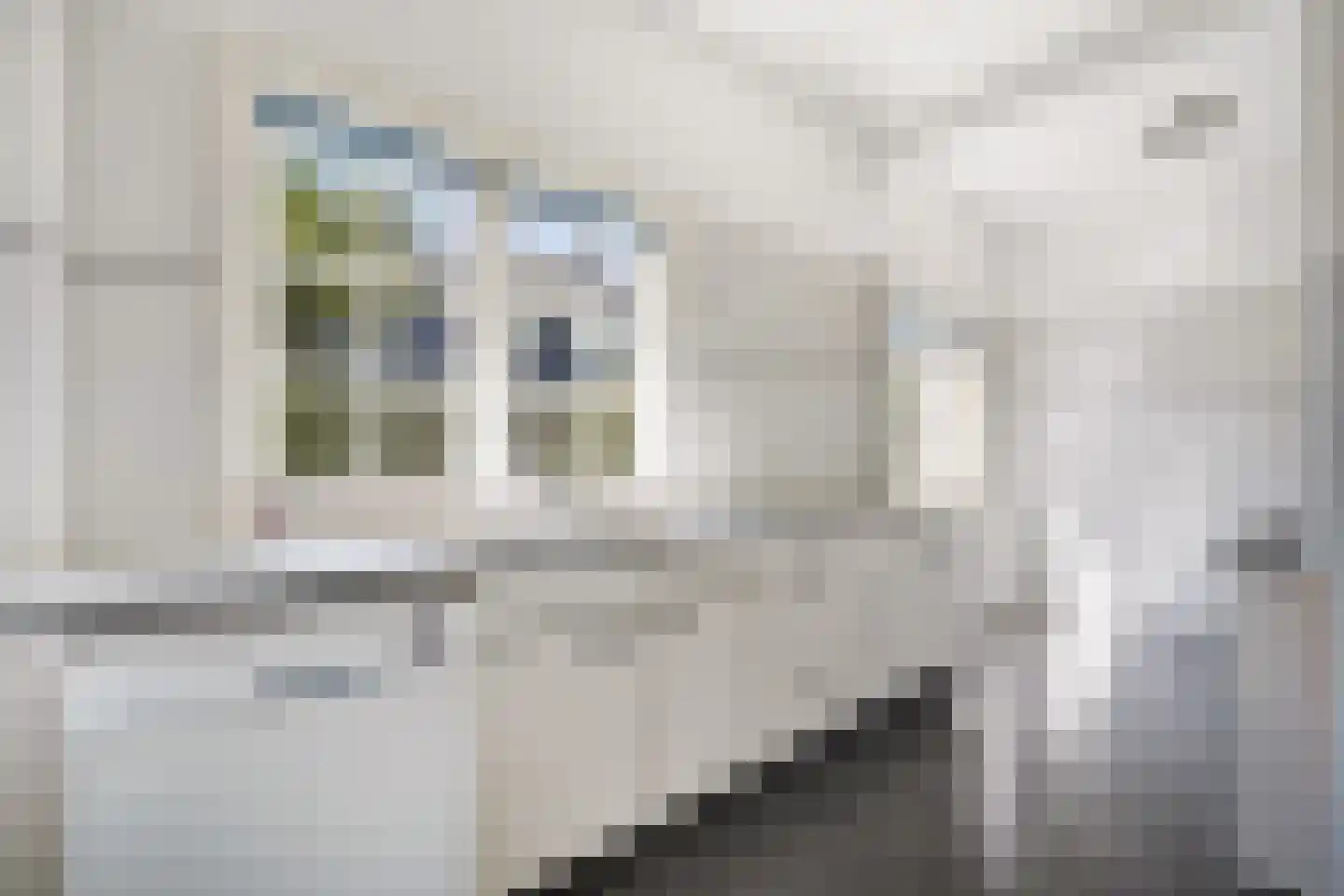 Spreeuwenlaan 6 Den Haag thumbnail 16