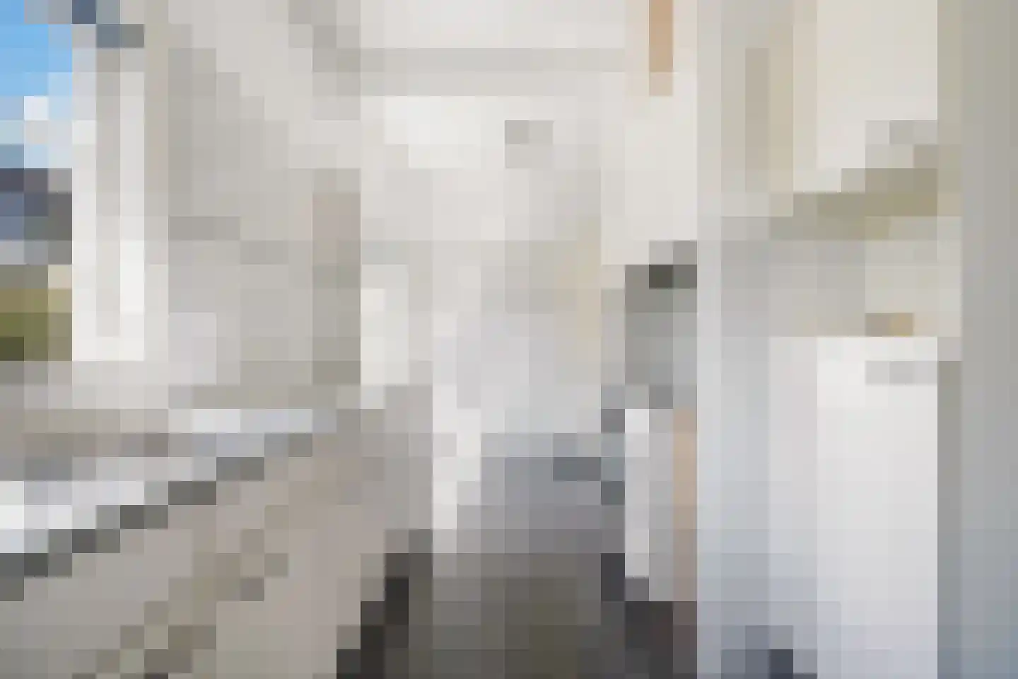 Spreeuwenlaan 6 Den Haag thumbnail 17
