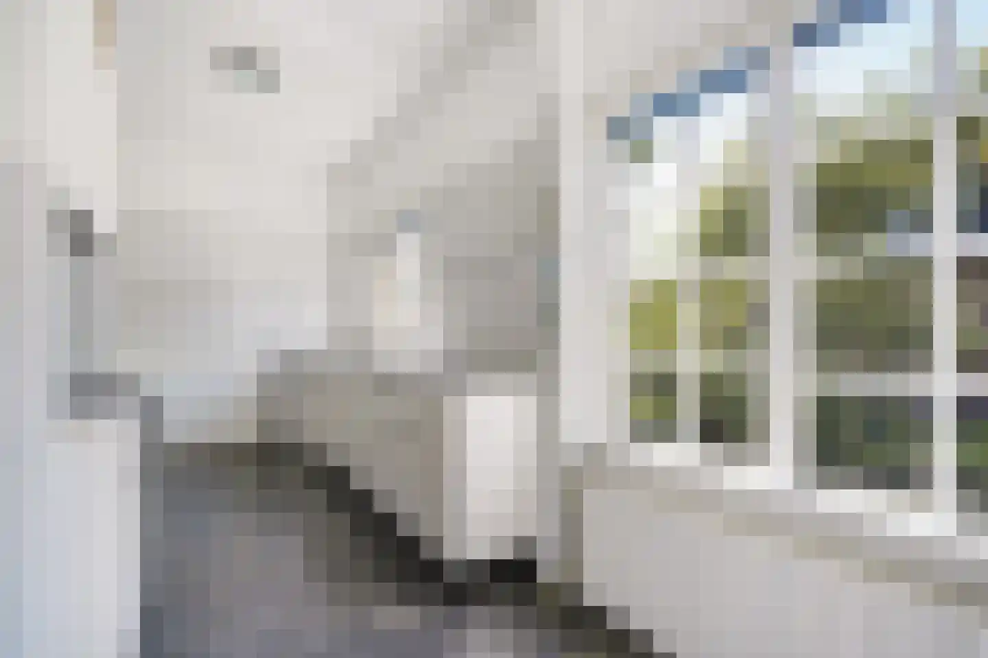 Spreeuwenlaan 6 Den Haag thumbnail 18
