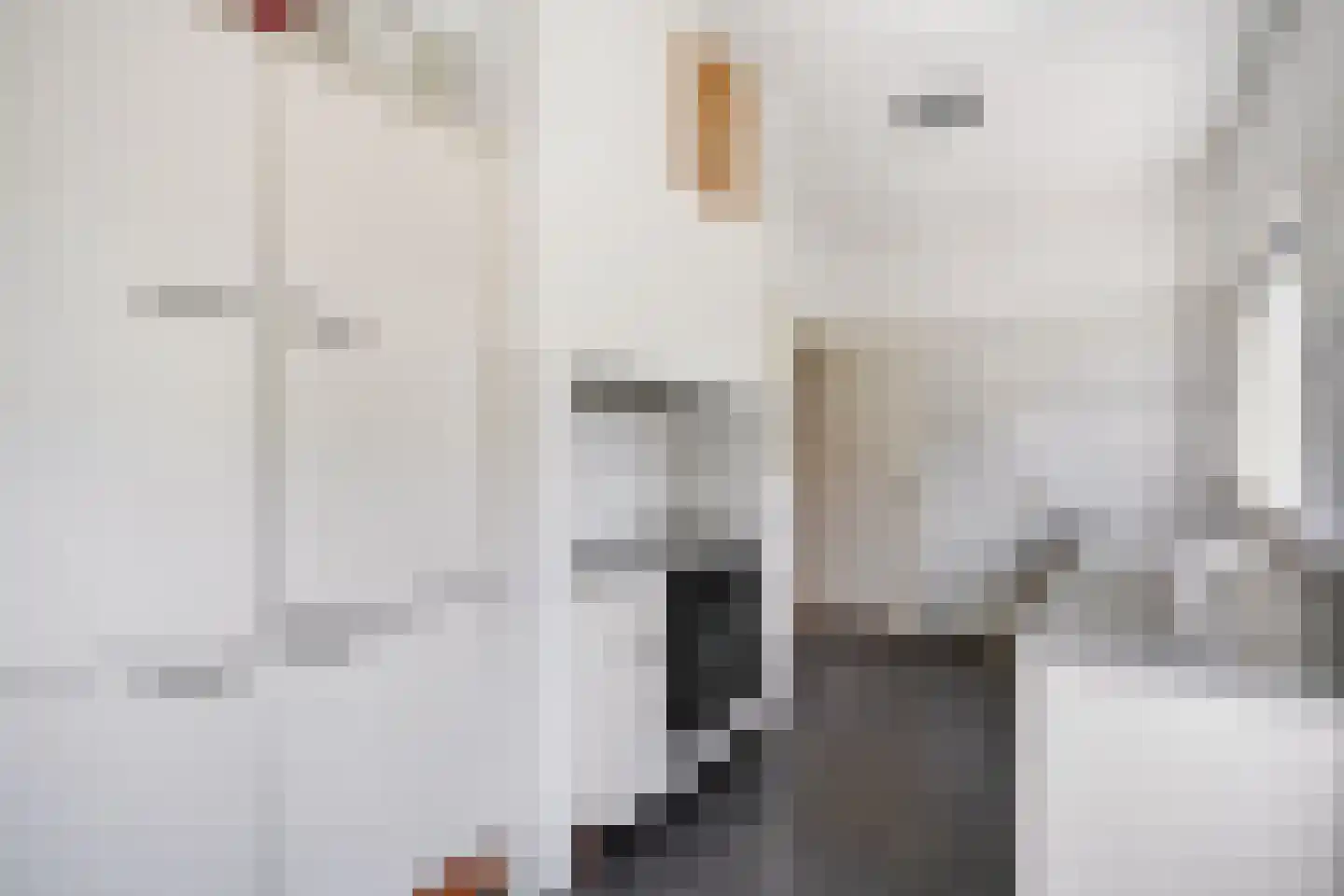 Spreeuwenlaan 6 Den Haag thumbnail 19