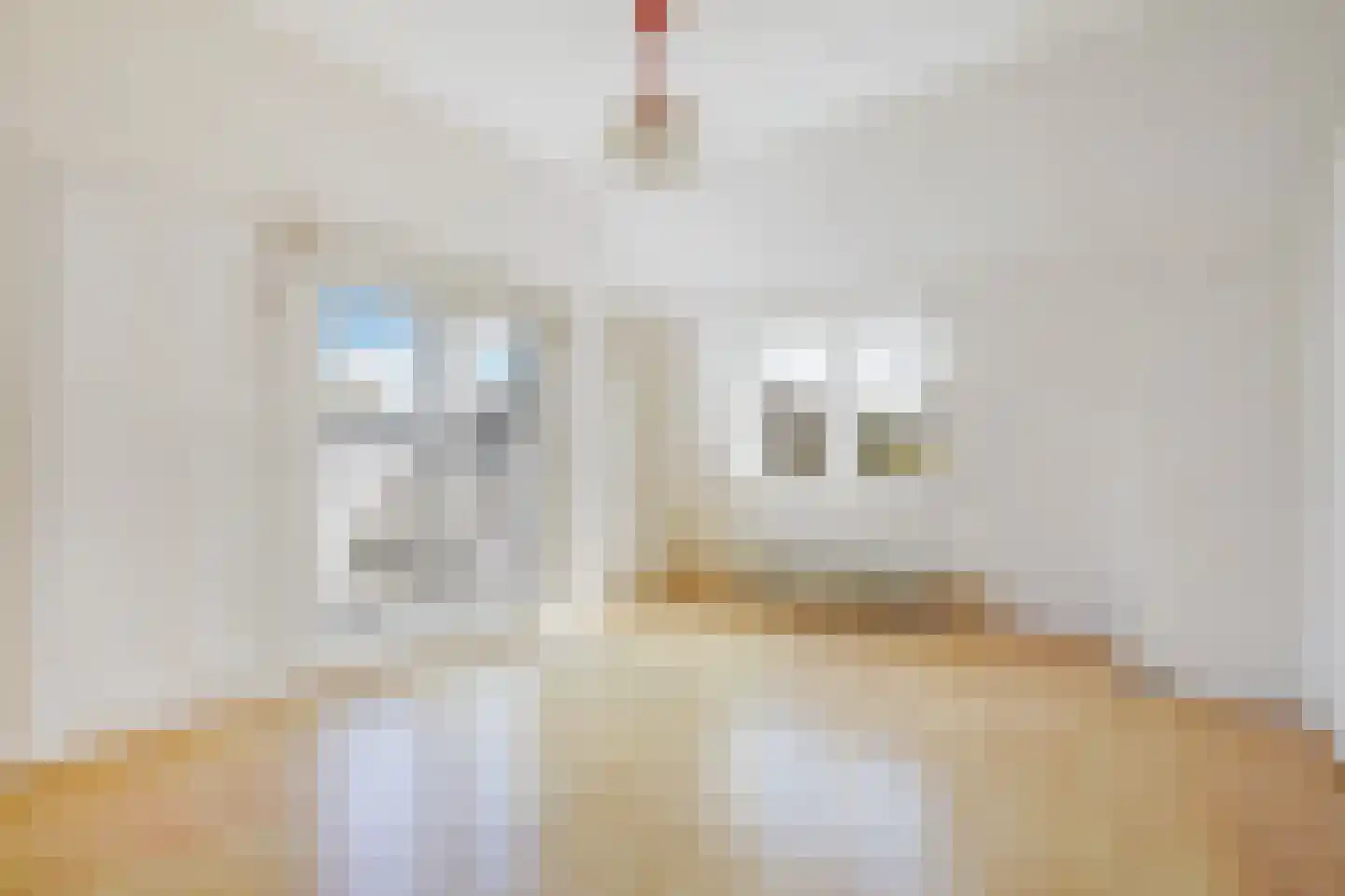 Spreeuwenlaan 6 Den Haag thumbnail 25