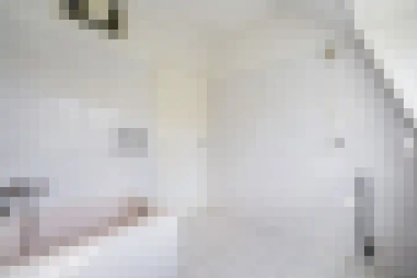 Spreeuwenlaan 6 Den Haag thumbnail 37