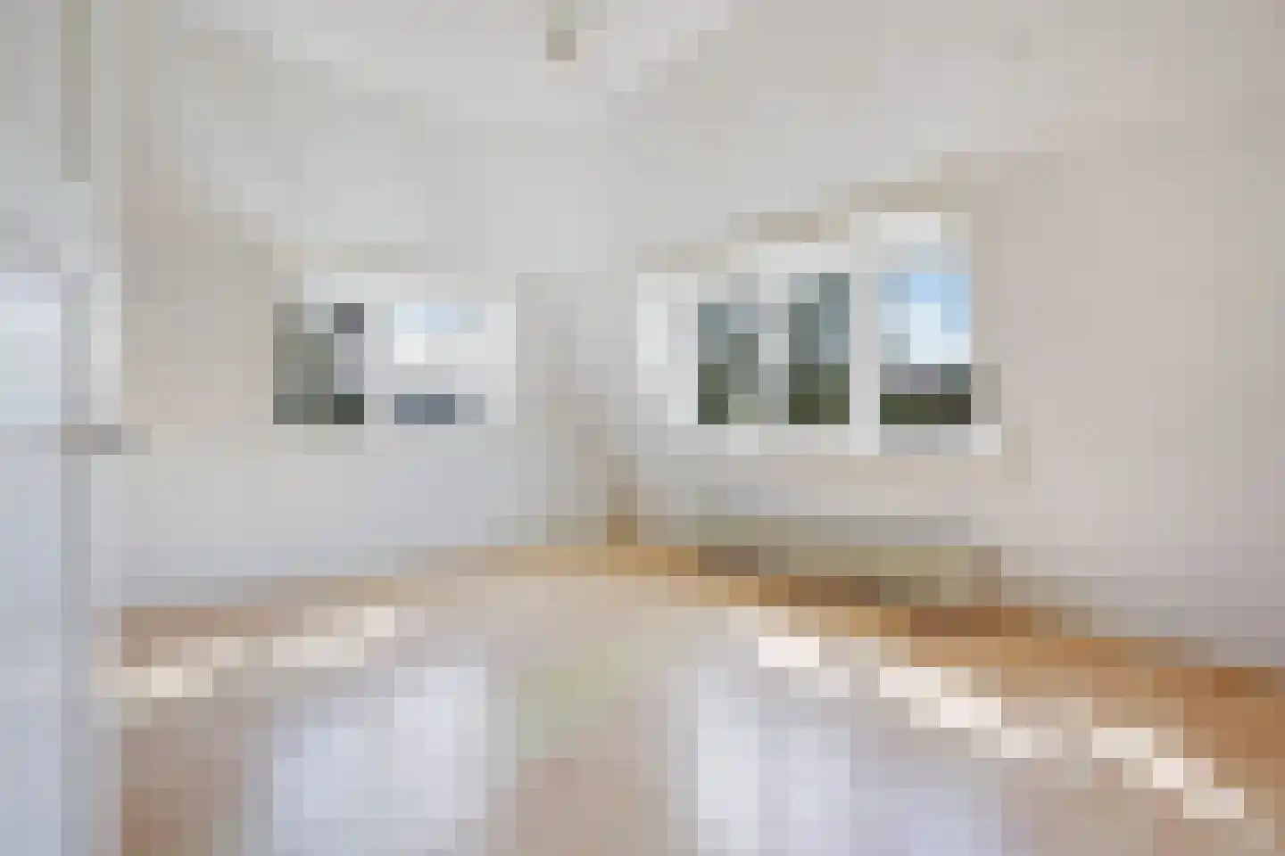 Spreeuwenlaan 6 Den Haag thumbnail 38