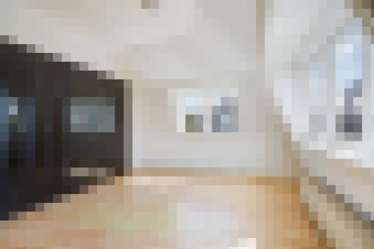 Spreeuwenlaan 6 Den Haag thumbnail 39