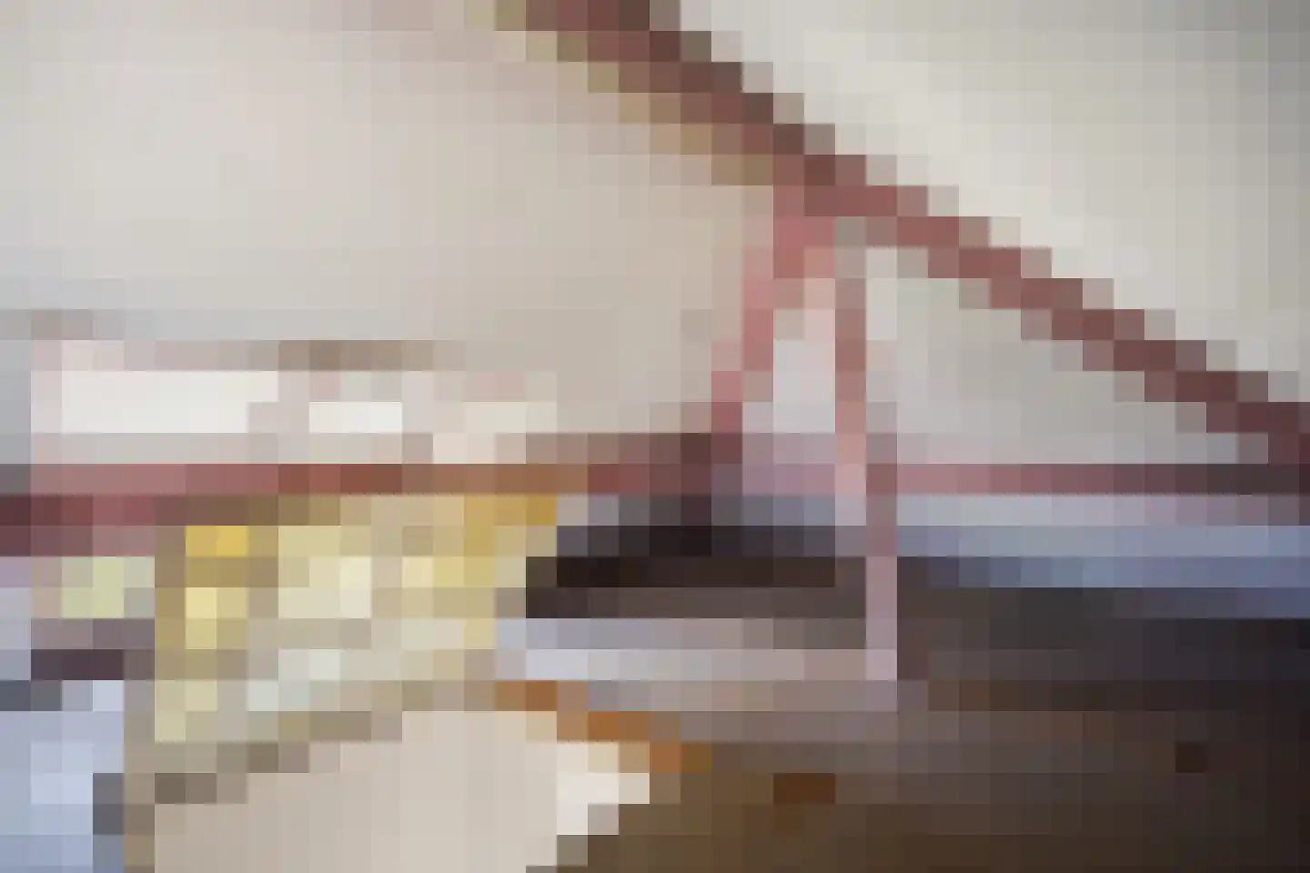 Spreeuwenlaan 6 Den Haag thumbnail 45