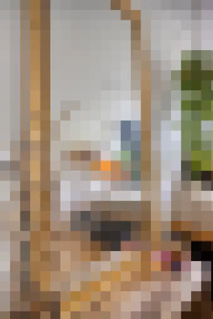 Spreeuwenpark 105 Amsterdam thumbnail 17