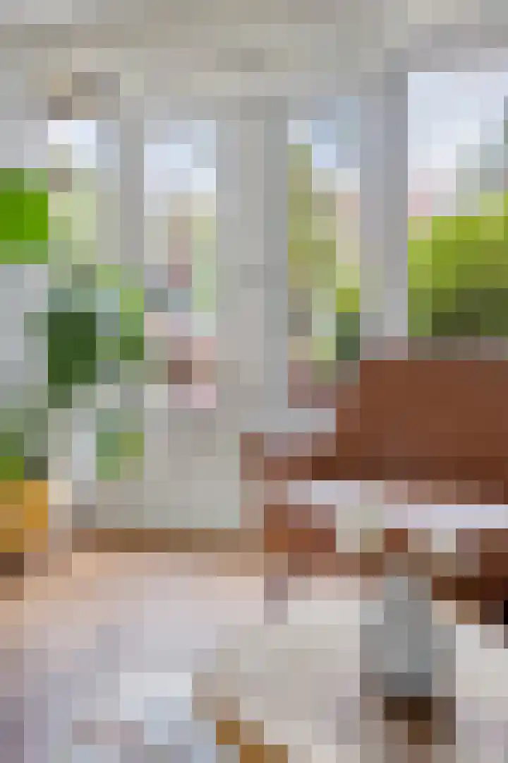 Spreeuwenpark 105 Amsterdam thumbnail 9