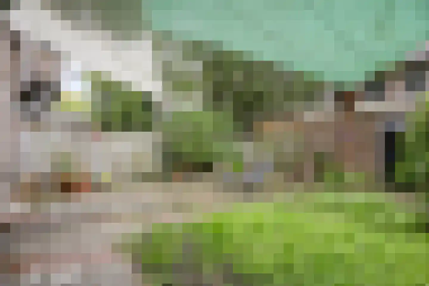 Spreeuwenpark 22 H Amsterdam thumbnail 23