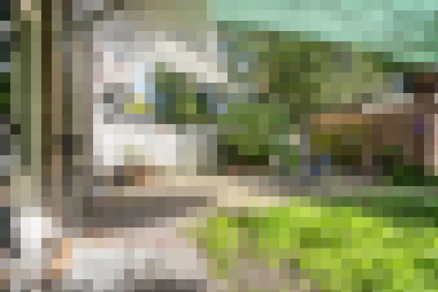 Spreeuwenpark 22 H Amsterdam thumbnail 24
