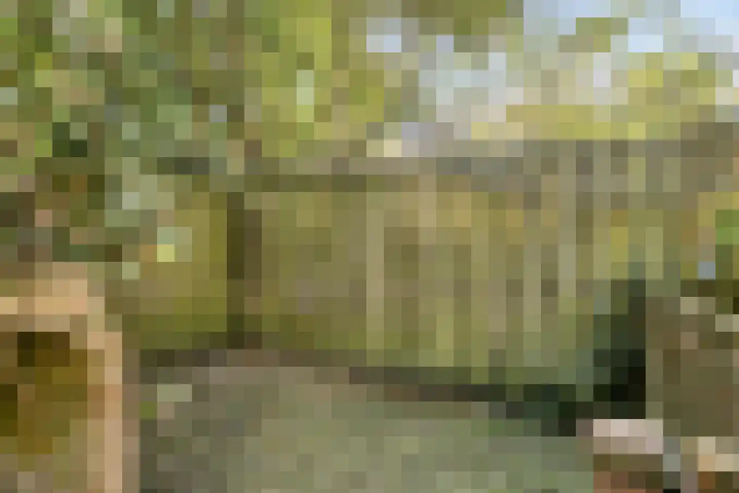 Spreeuwenpark 22 H Amsterdam thumbnail 26