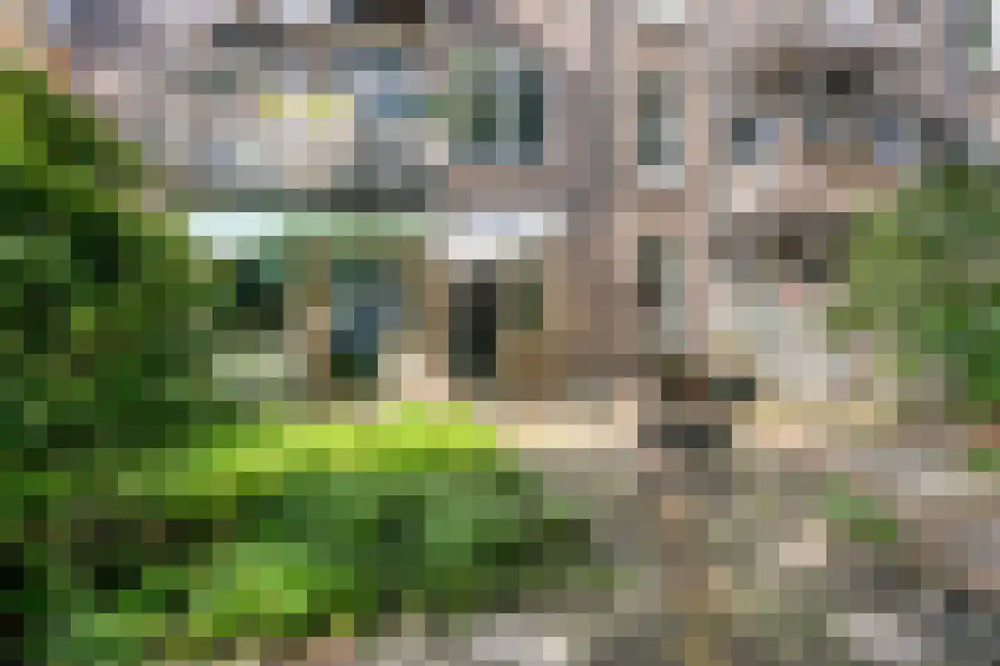 Spreeuwenpark 22 H Amsterdam thumbnail 27