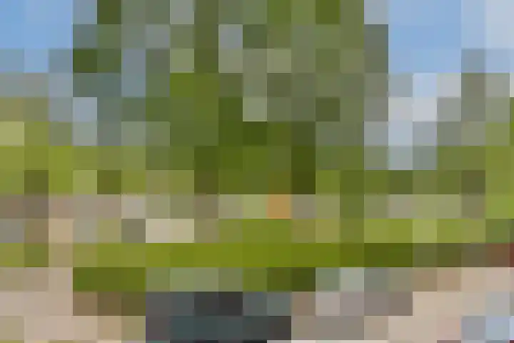 Spreeuwenpark 8 2 Amsterdam thumbnail 17