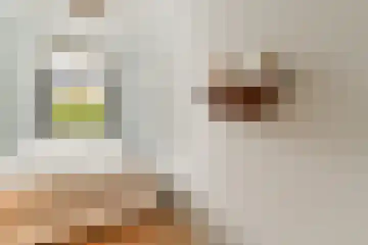 Spreeuwenpark 8 2 Amsterdam thumbnail 19