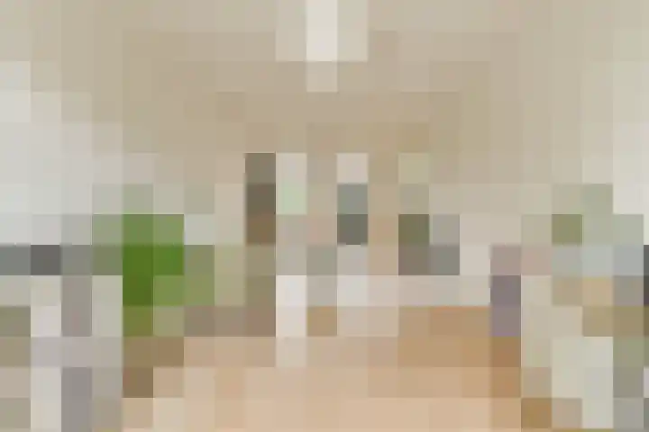 Spreeuwenpark 8 2 Amsterdam thumbnail 7