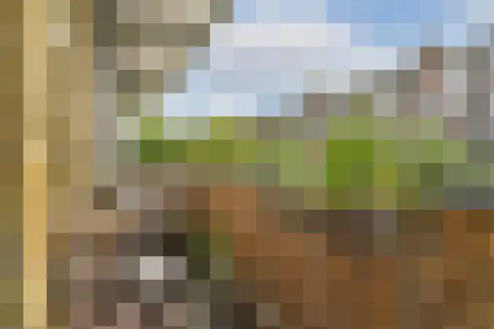 Spreeuwenpark 8 2 Amsterdam thumbnail 9
