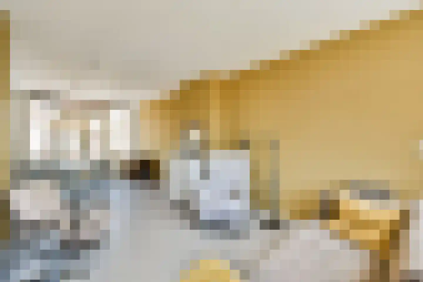 Spreeuwenpark 85 Amsterdam thumbnail 5
