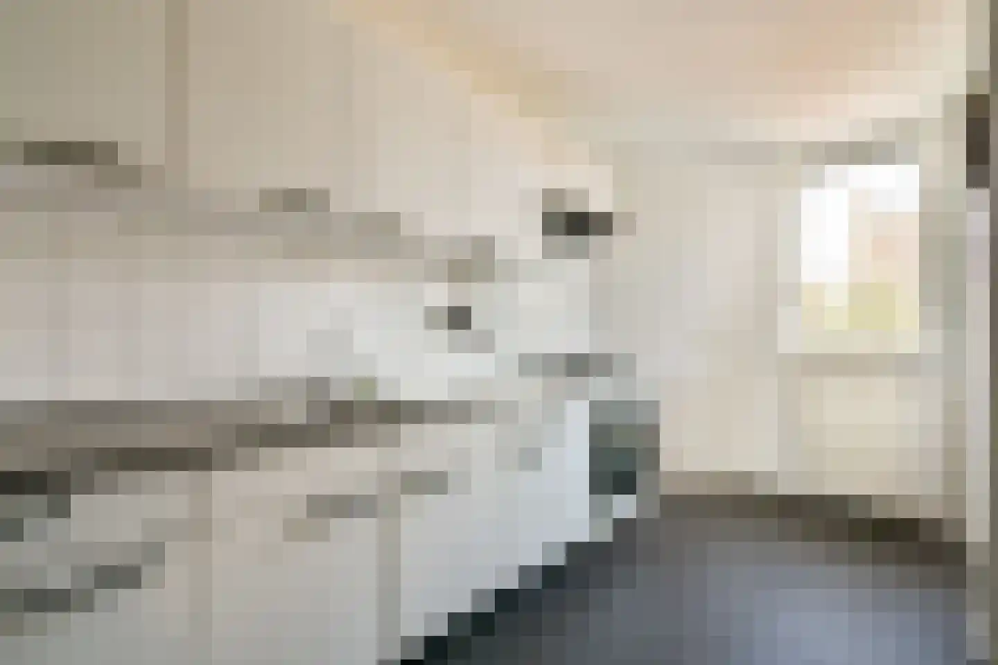 Spreeuwenpark 85 Amsterdam thumbnail 7