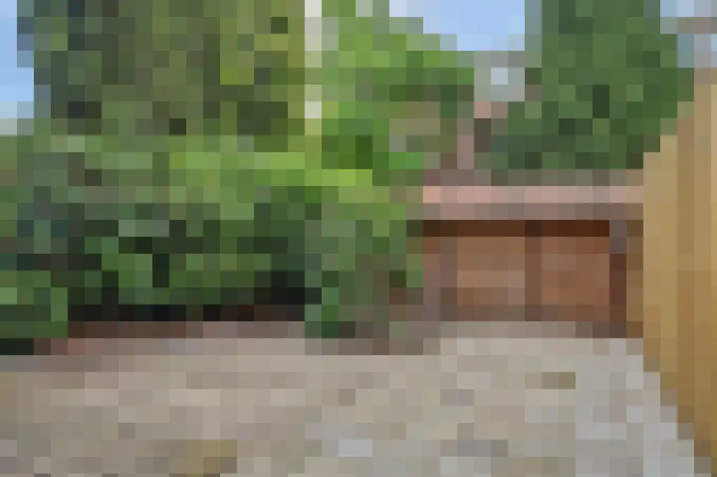 Spreeuwenpark 99 Amsterdam thumbnail 24