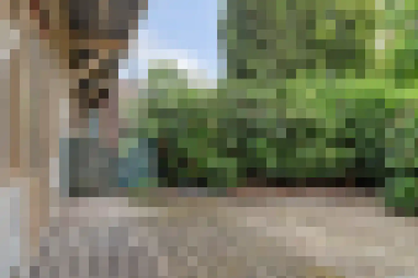 Spreeuwenpark 99 Amsterdam thumbnail 27