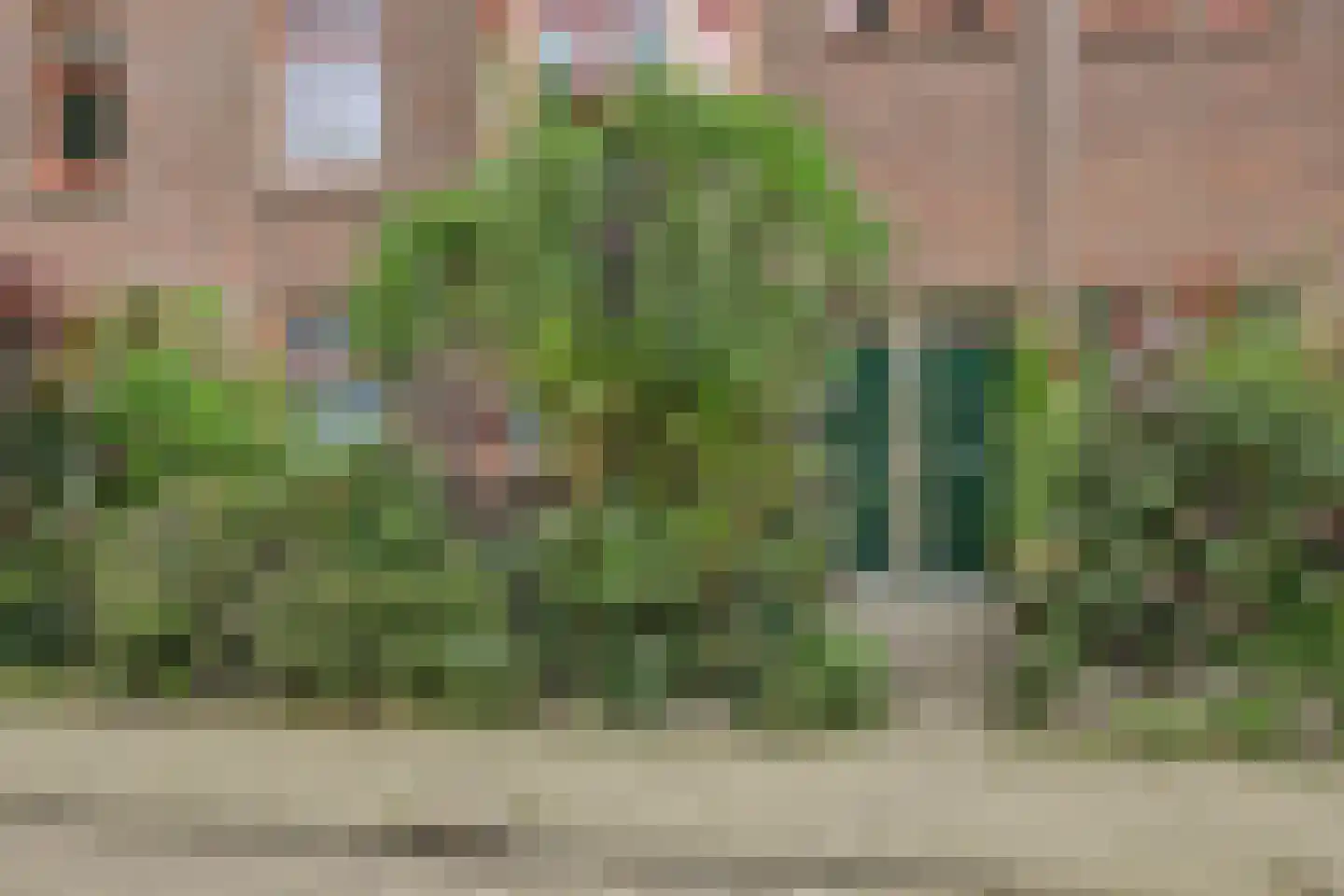 Spreeuwenpark 99 Amsterdam thumbnail 6