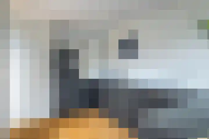 Spreeuwenstein 13 Ouddorp thumbnail 11