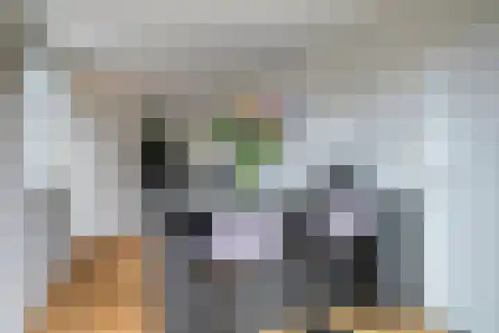 Spreeuwenstein 13 Ouddorp thumbnail 13