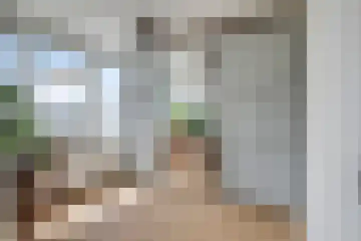Spreeuwenstein 13 Ouddorp thumbnail 25