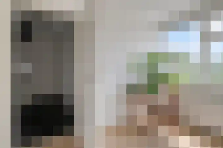 Spreeuwenstein 13 Ouddorp thumbnail 26