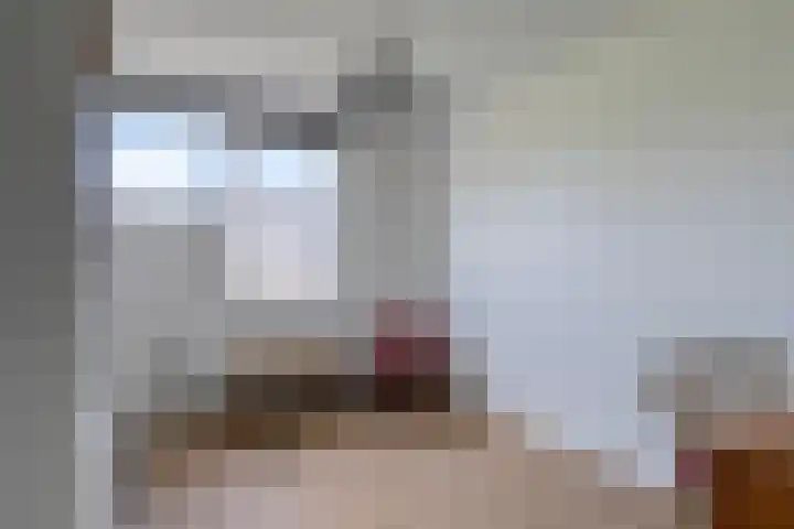 Spreeuwenstein 13 Ouddorp thumbnail 27