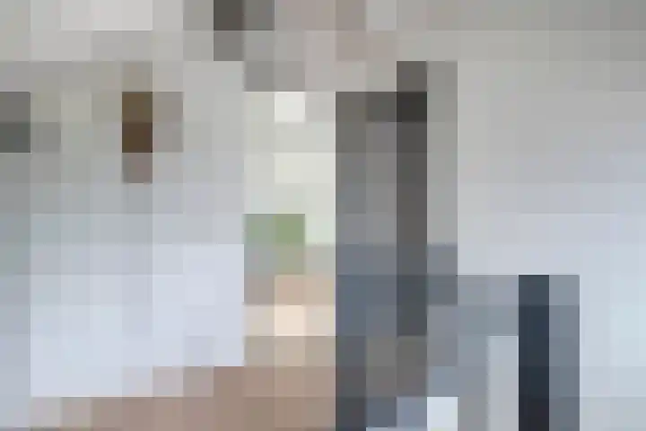 Spreeuwenstein 13 Ouddorp thumbnail 29