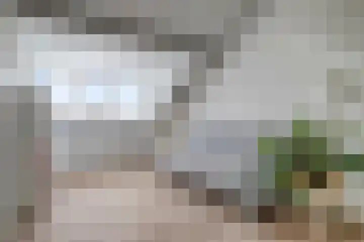 Spreeuwenstein 13 Ouddorp thumbnail 30