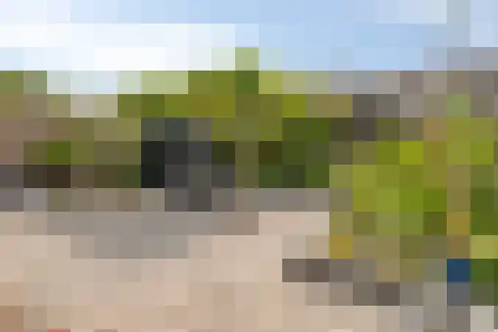 Spreeuwenstein 13 Ouddorp thumbnail 34
