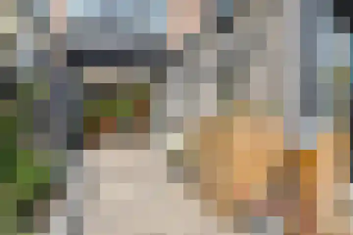 Spreeuwenstein 13 Ouddorp thumbnail 36