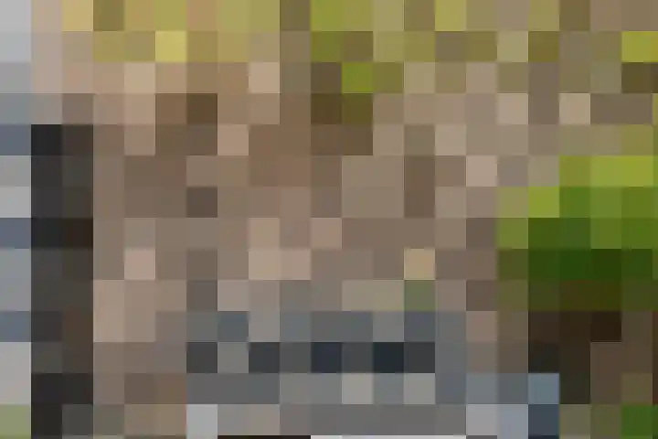 Spreeuwenstein 13 Ouddorp thumbnail 37