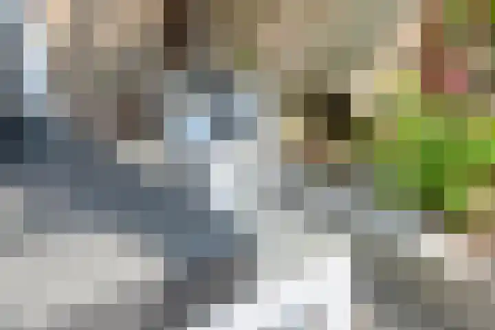 Spreeuwenstein 13 Ouddorp thumbnail 38
