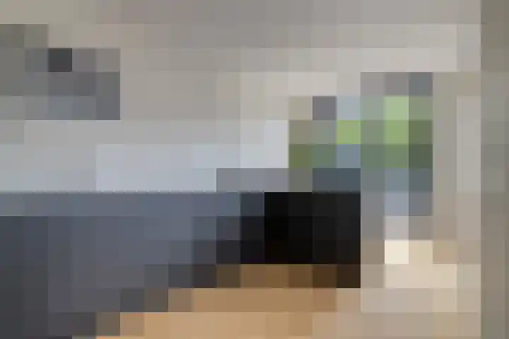Spreeuwenstein 13 Ouddorp thumbnail 4