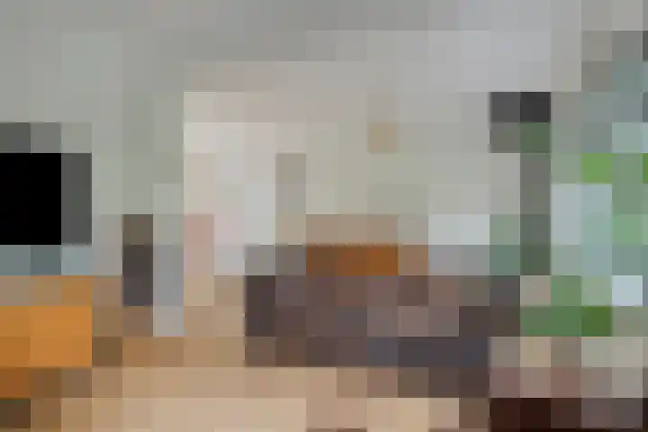 Spreeuwenstein 13 Ouddorp thumbnail 5
