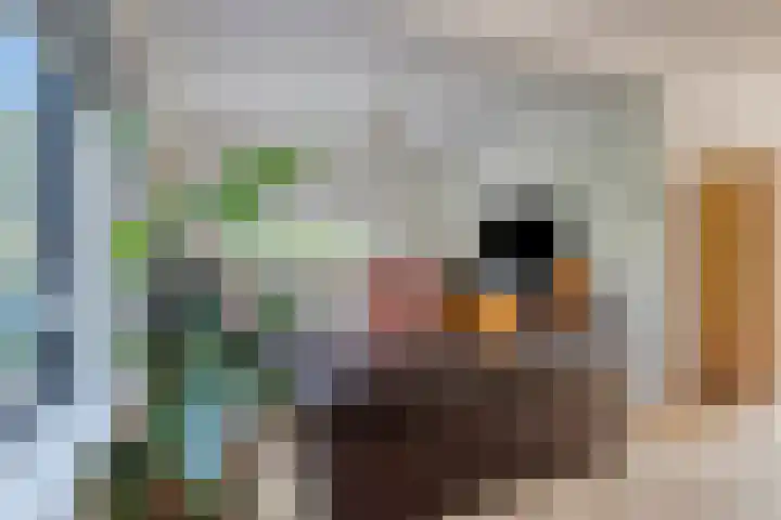 Spreeuwenstein 13 Ouddorp thumbnail 6