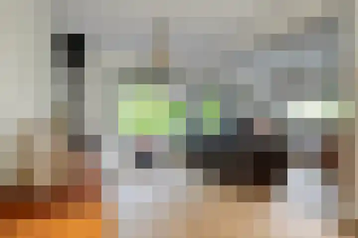 Spreeuwenstein 13 Ouddorp thumbnail 7