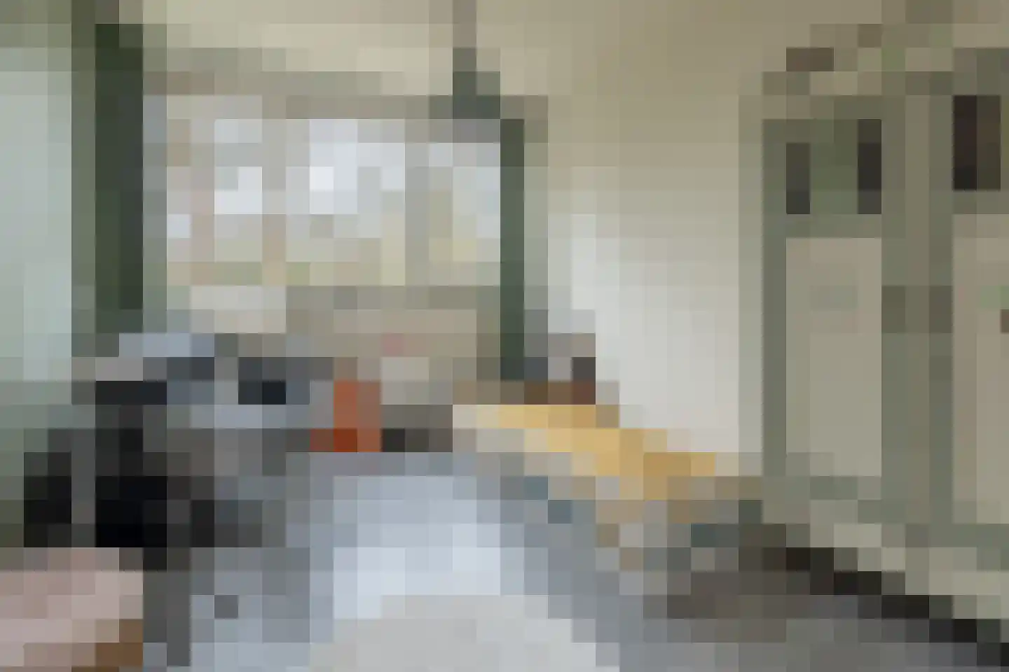 Spreeuwenstraat 113 Amersfoort thumbnail 28