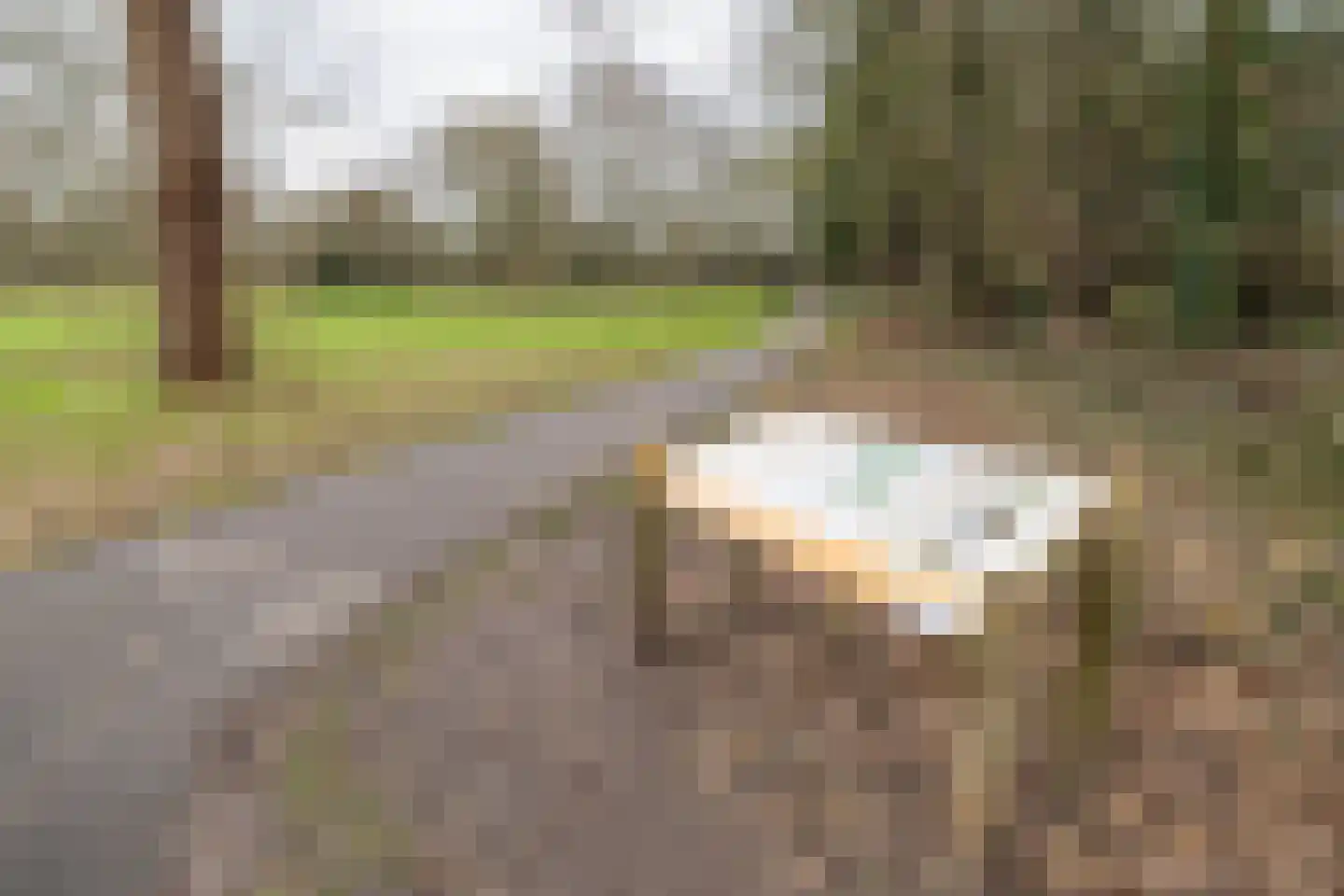 Spreeuwenstraat 113 Amersfoort thumbnail 41