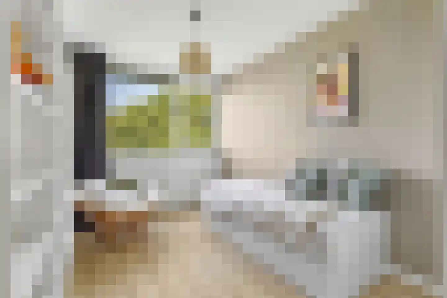 Spreeuwenstraat 203 Amersfoort thumbnail 17